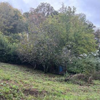 Продается Участок, 500 м²