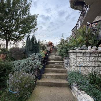 Сдается Комната, 25 м²