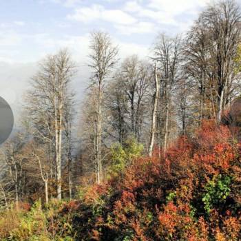 Продается Участок, 3600 м²