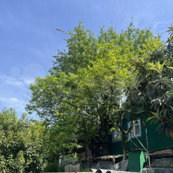 Продается Участок, 300 м²