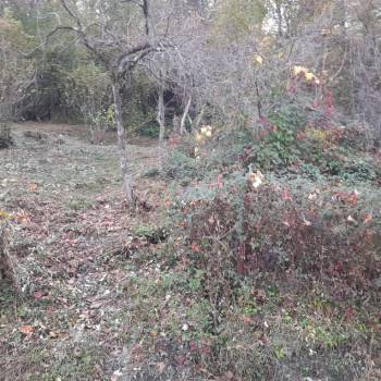 Продается Участок, 550 м²