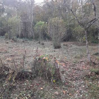 Продается Участок, 550 м²