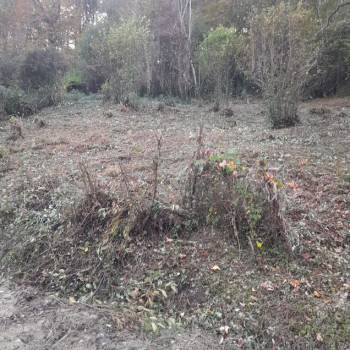 Продается Участок, 550 м²