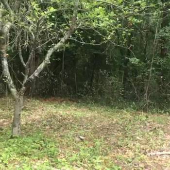 Продается Участок, 640 м²