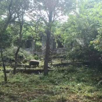 Продается Участок, 640 м²