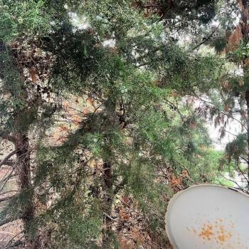 Продается 2-х комнатная квартира, 37,6 м²