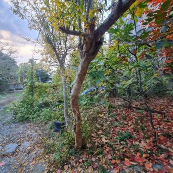 Продается Участок, 500 м²