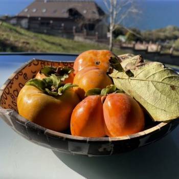 Продается Участок, 2000 м²