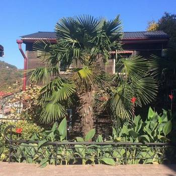 Сдается Дом, 36 м²