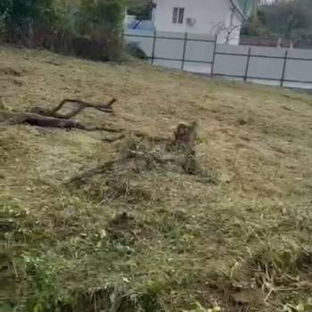 Продается Участок, 600 м²