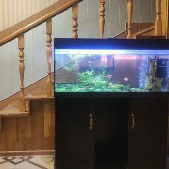 Сдается Комната, 28 м²