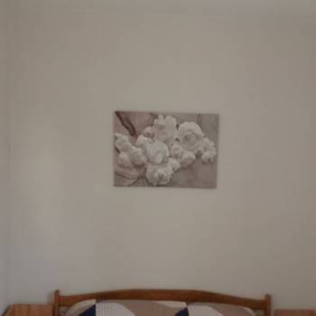 Сдается 2-х комнатная квартира, 43 м²