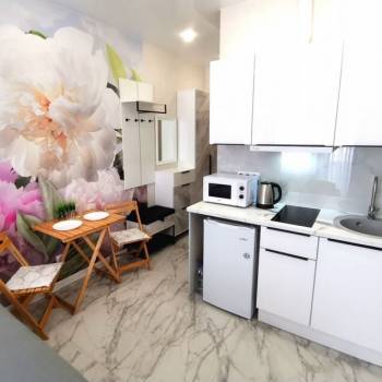 Сдается 1-комнатная квартира, 21,7 м²