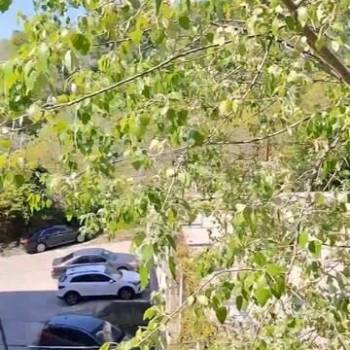 Продается 2-х комнатная квартира, 34,7 м²