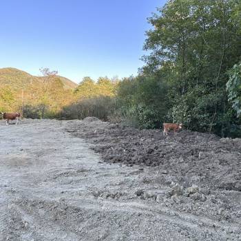 Продается Участок, 600 м²