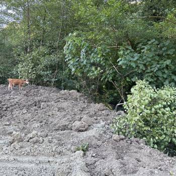 Продается Участок, 600 м²