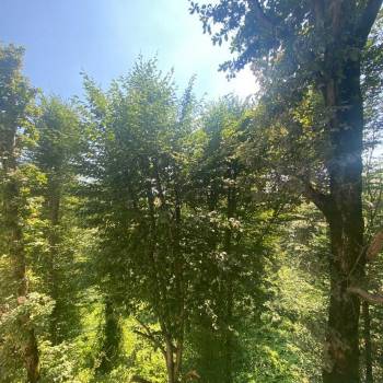 Продается 1-комнатная квартира, 35 м²