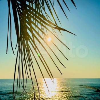 Сдается 2-х комнатная квартира, 44 м²