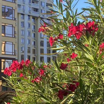 Продается 2-х комнатная квартира, 50 м²