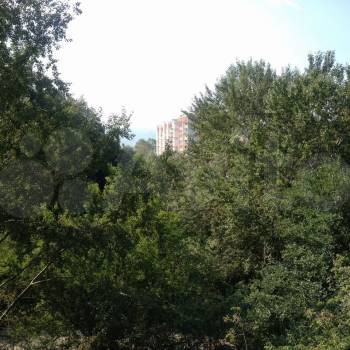 Сдается 2-х комнатная квартира, 65 м²