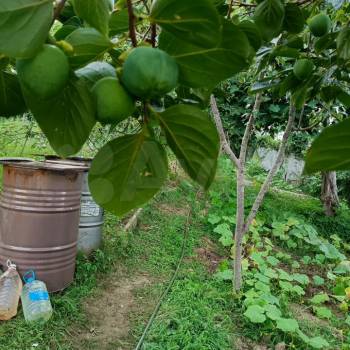 Продается Участок, 550 м²