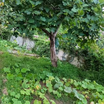 Продается Участок, 550 м²