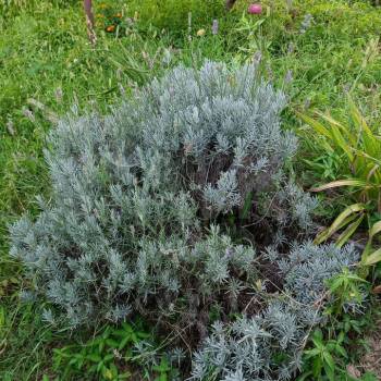 Продается Участок, 550 м²