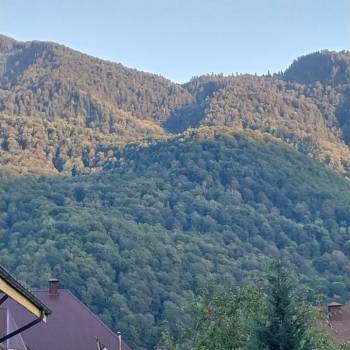 Продается 1-комнатная квартира, 22 м²