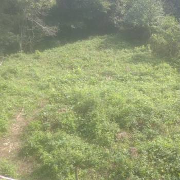 Продается Участок, 600 м²