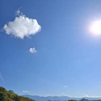 Сдается Комната, 10 м²