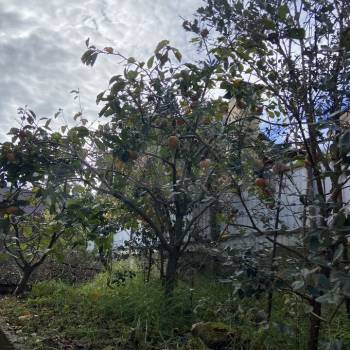 Сдается Дом, 120 м²