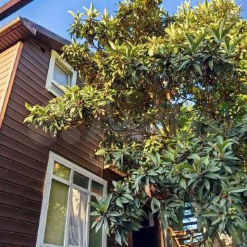 Сдается 2-х комнатная квартира, 40 м²