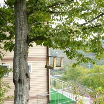 Сдается Комната, 33 м²