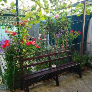 Сдается Комната, 16 м²