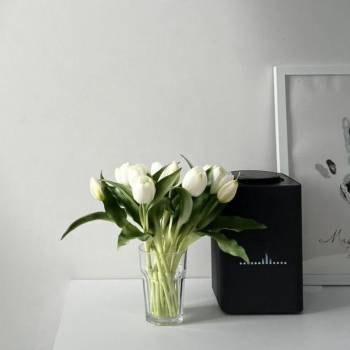 Сдается 1-комнатная квартира, 47 м²