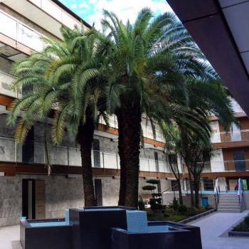 Сдается 2-х комнатная квартира, 32 м²