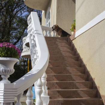 Продается Дом, 403 м²