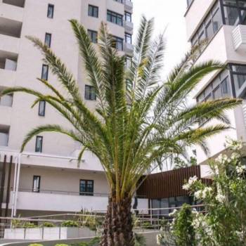 Продается 1-комнатная квартира, 45,6 м²