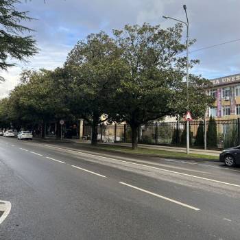 Продается Нежилое помещение, 40 м²