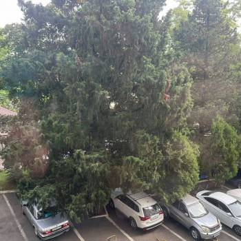 Продается 2-х комнатная квартира, 60 м²