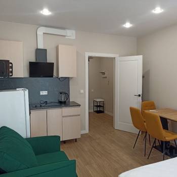 Сдается 1-комнатная квартира, 25,69 м²