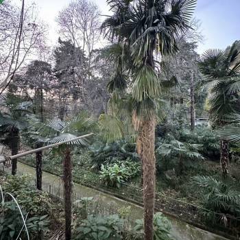 Сдается Комната, 15 м²