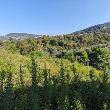 Продается Участок, 700 м²