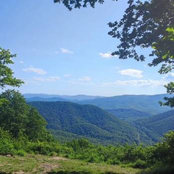 Продается Участок, 1600 м²