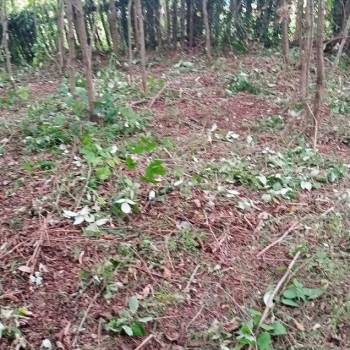 Продается Участок, 1600 м²