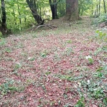 Продается Участок, 1600 м²