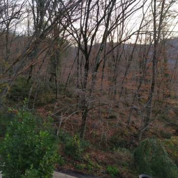 Продается Участок, 800 м²