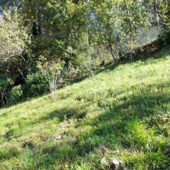 Продается Участок, 690 м²