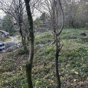 Продается Участок, 500 м²