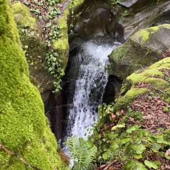 Продается Участок, 500 м²